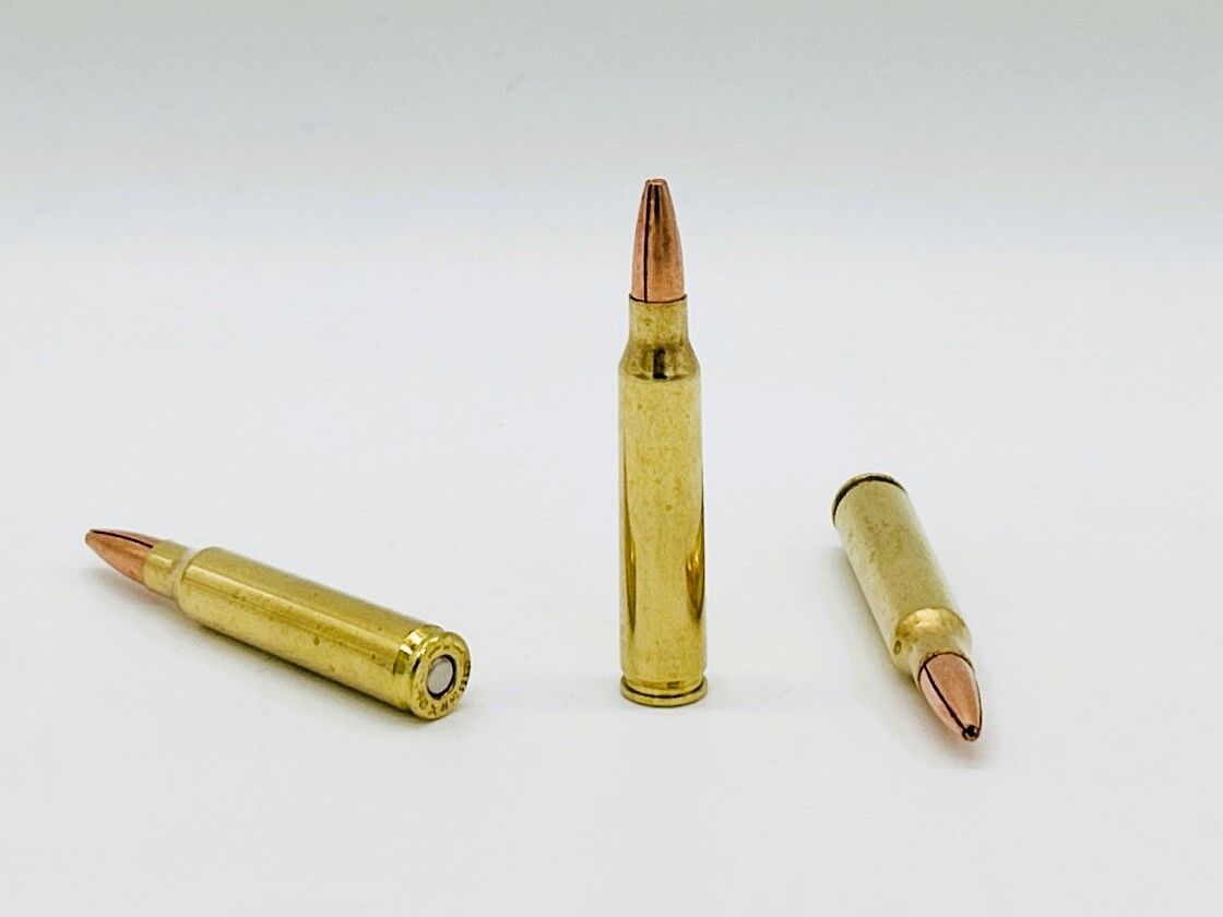 62-Grain REX vs. M855 & Mk318: Which Is The Better 5.56?